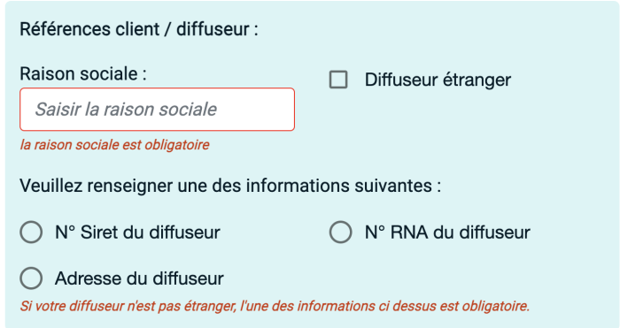 Les champs de saisie problématiques du formulaire.