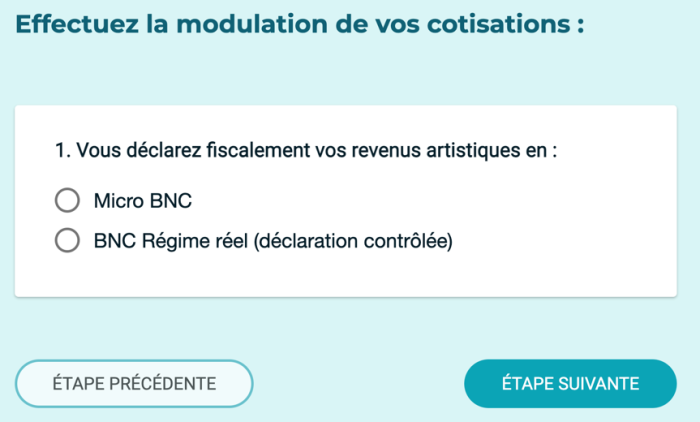 Formulaire de choix du régime déclaratif